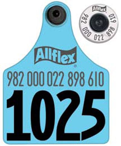 Allflex Numbered Matched Pair EID & Maxi Cattle Ear Tag Sets, 50 ct