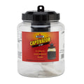 Captivator Reusable Outdoor Fly Trap