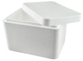 Jeffers Foam Cooler for Vaccines