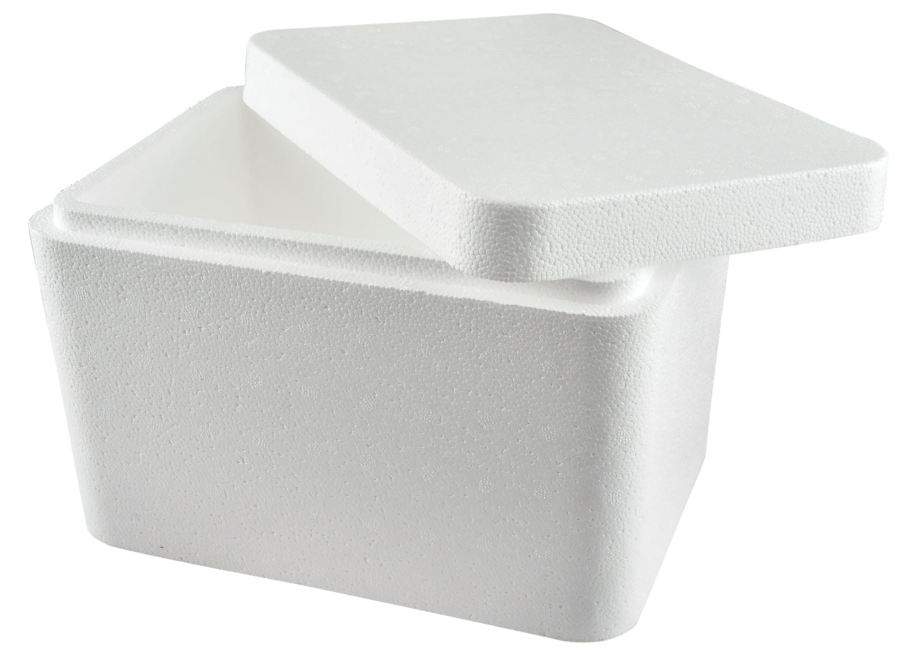 Jeffers Foam Cooler for Vaccines