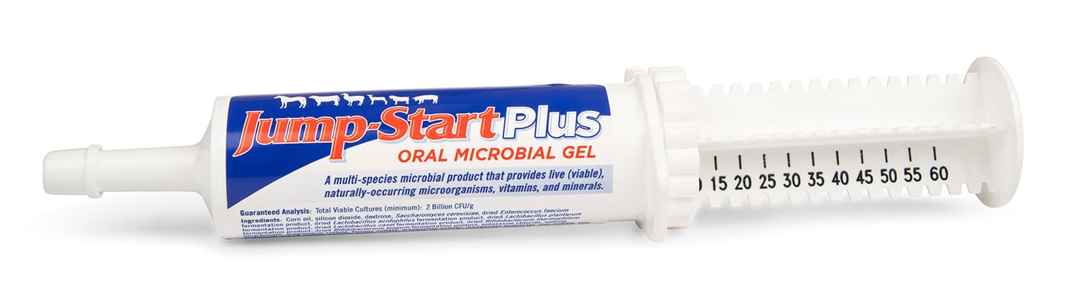 Jump-Start Plus Oral Microbial Gel for Animals, 60 g