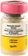 Newcastle Disease Chicken Vaccine - 5,000 Dose