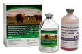 RespiVax 5 + PH-M Cattle Vaccine