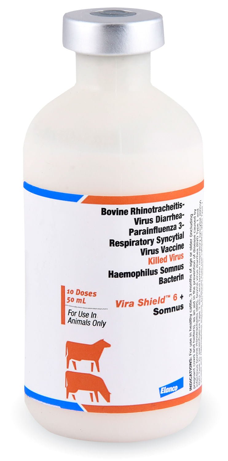 Vira Shield 6 + Somnus Cattle Vaccine